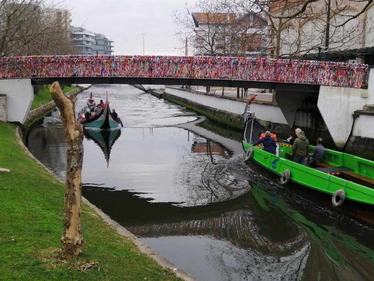 Terreno Das Mimosas Daire Aveiro Dış mekan fotoğraf