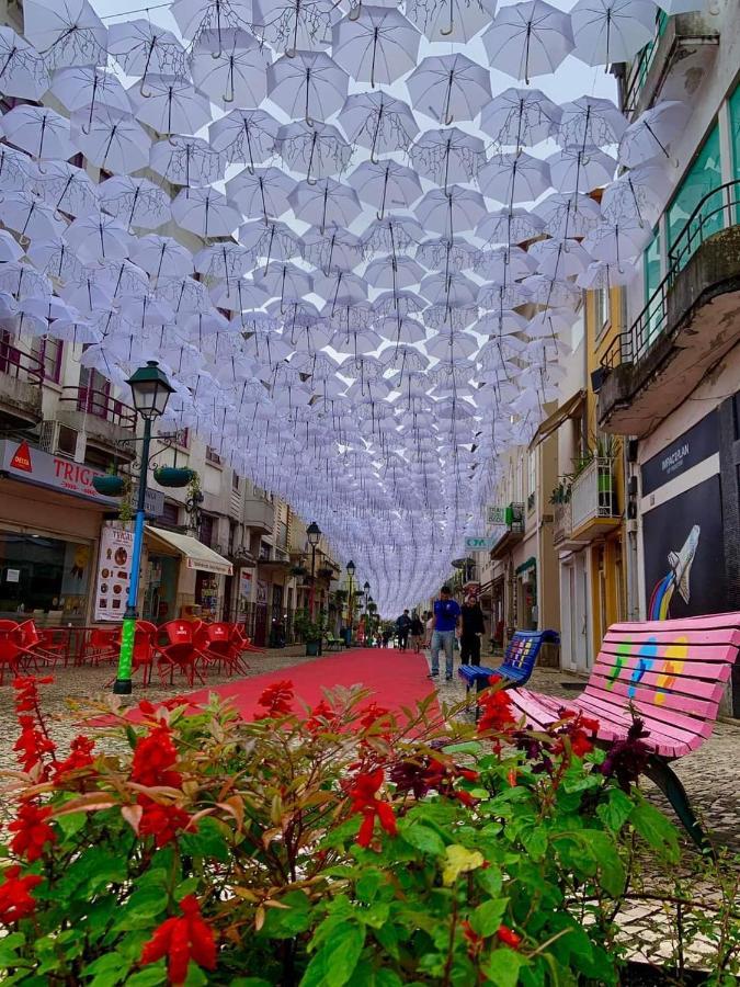 Terreno Das Mimosas Daire Aveiro Dış mekan fotoğraf