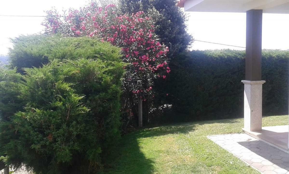 Terreno Das Mimosas Daire Aveiro Dış mekan fotoğraf